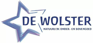 logo-footer